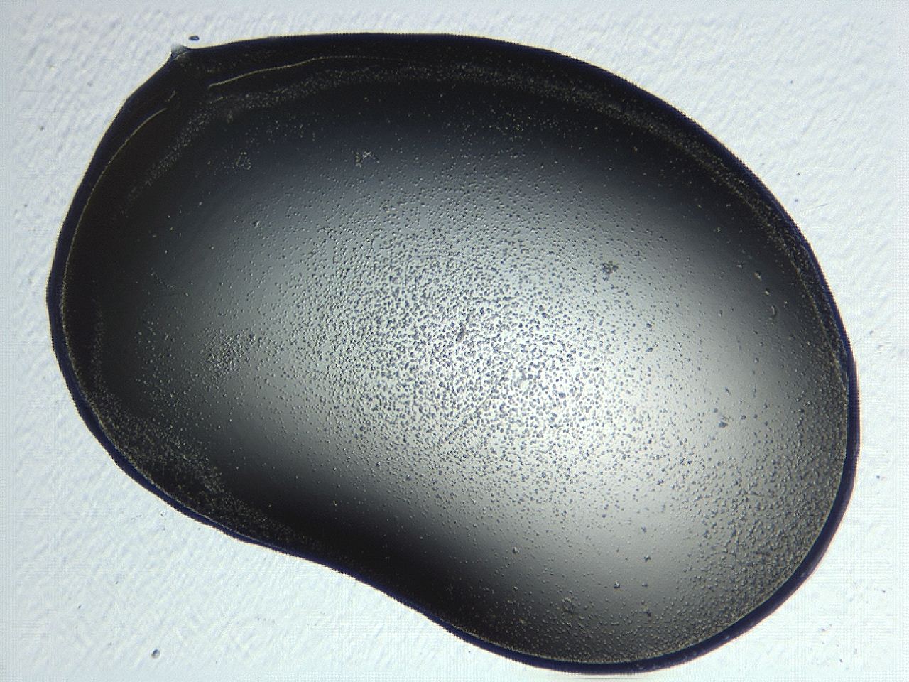04p3_E5_ImagerDefaults_3.jpg