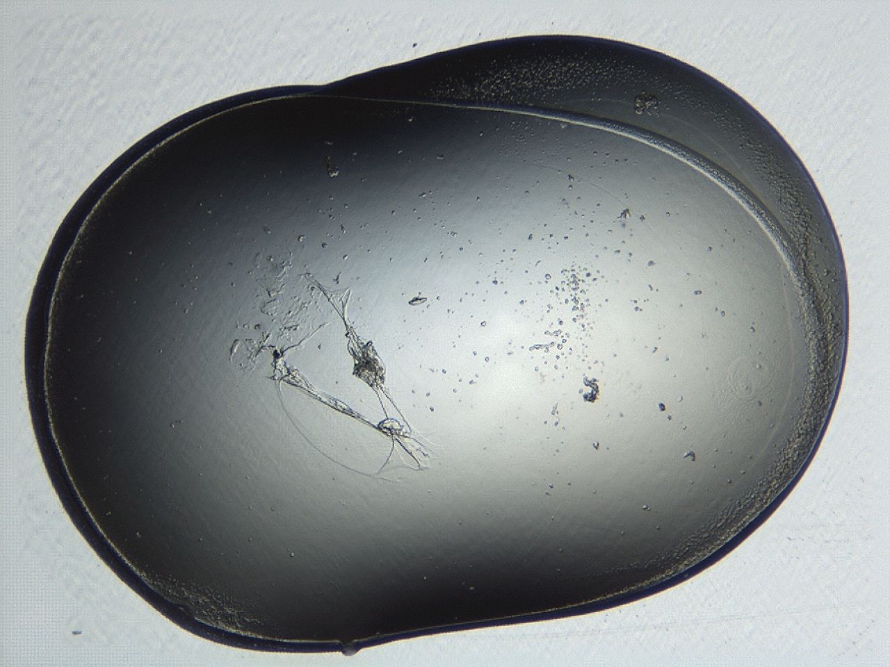 04p3_E9_ImagerDefaults_0.jpg