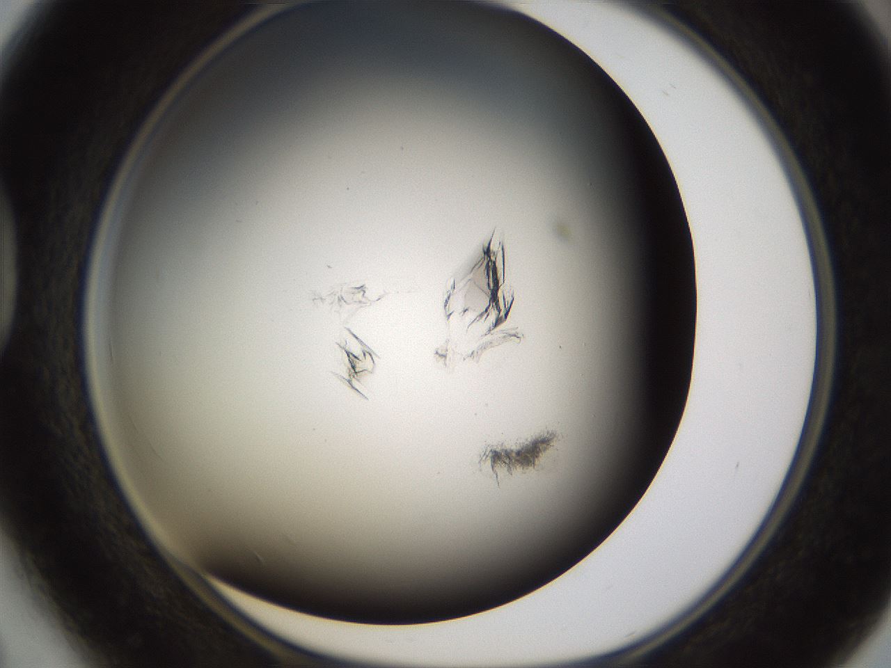 folderID755_plateID1755_batchID7798_wellNum41_profileID1_d1_r117382_ef.jpg