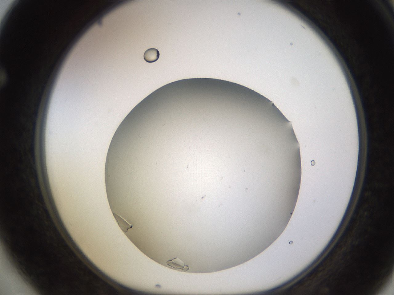 folderID759_plateID2759_batchID14148_wellNum64_profileID1_d1_r227592_ef.jpg
