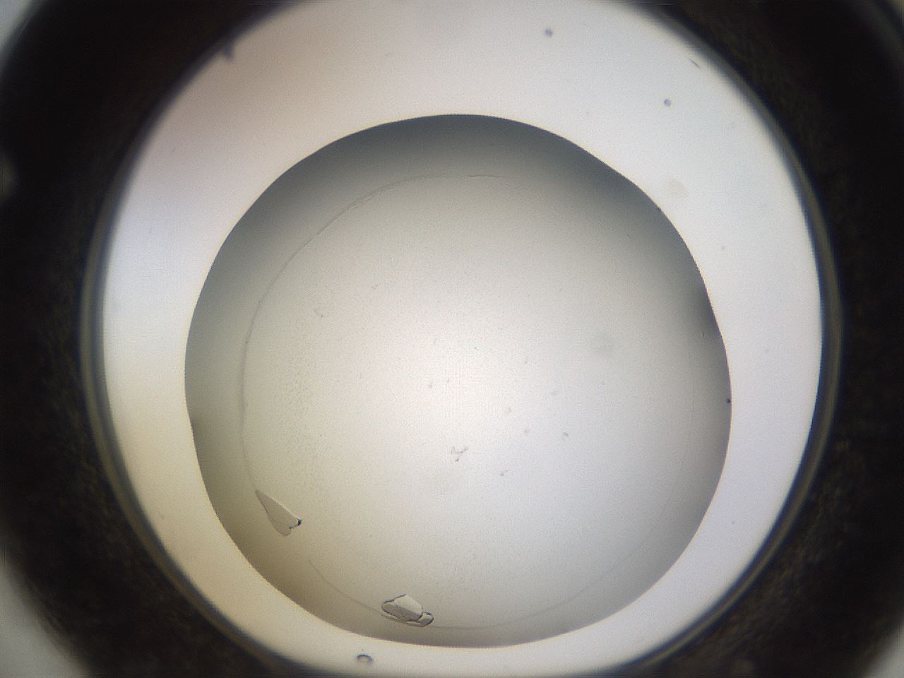 folderID759_plateID2759_batchID14958_wellNum64_profileID1_d1_r227592_ef.jpg