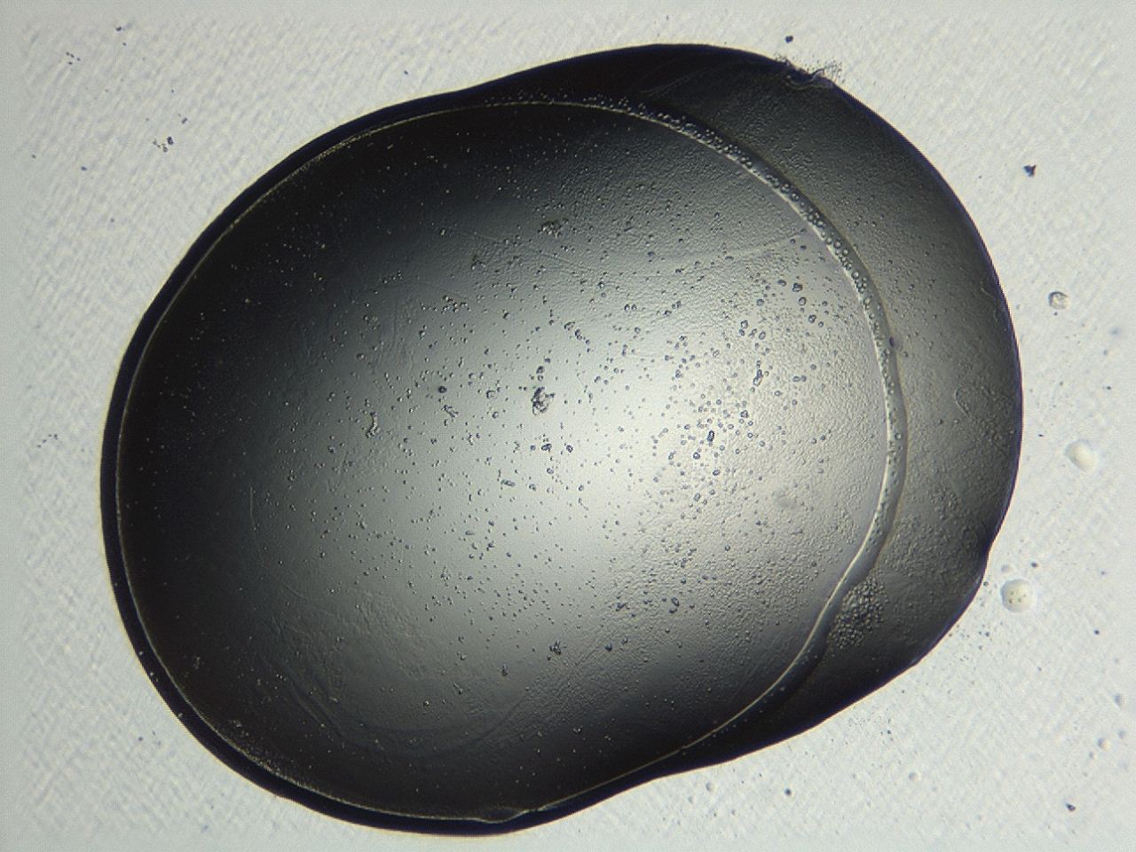 04p3_F9_ImagerDefaults_3.jpg