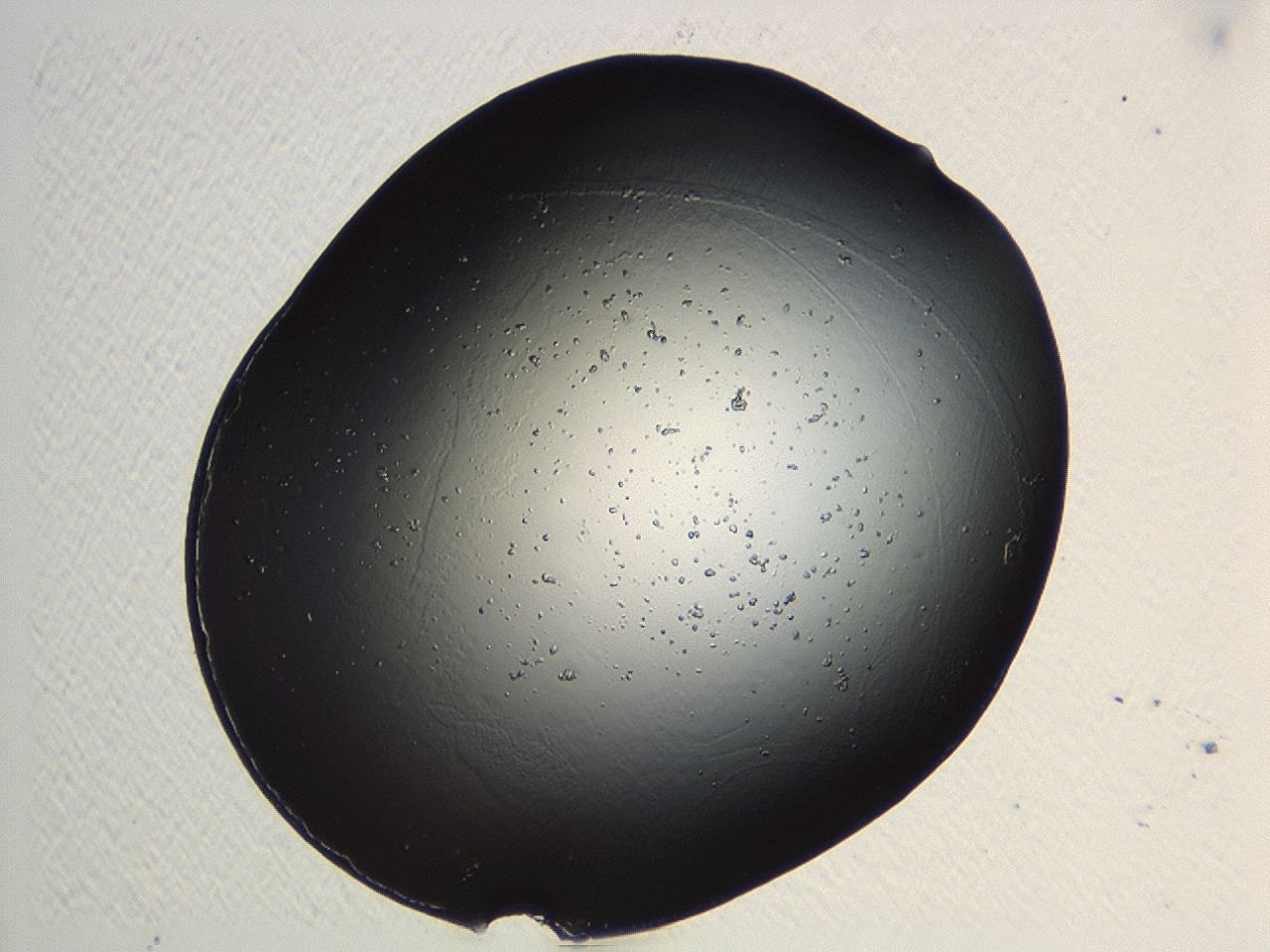 04p3_G12_ImagerDefaults_0.jpg