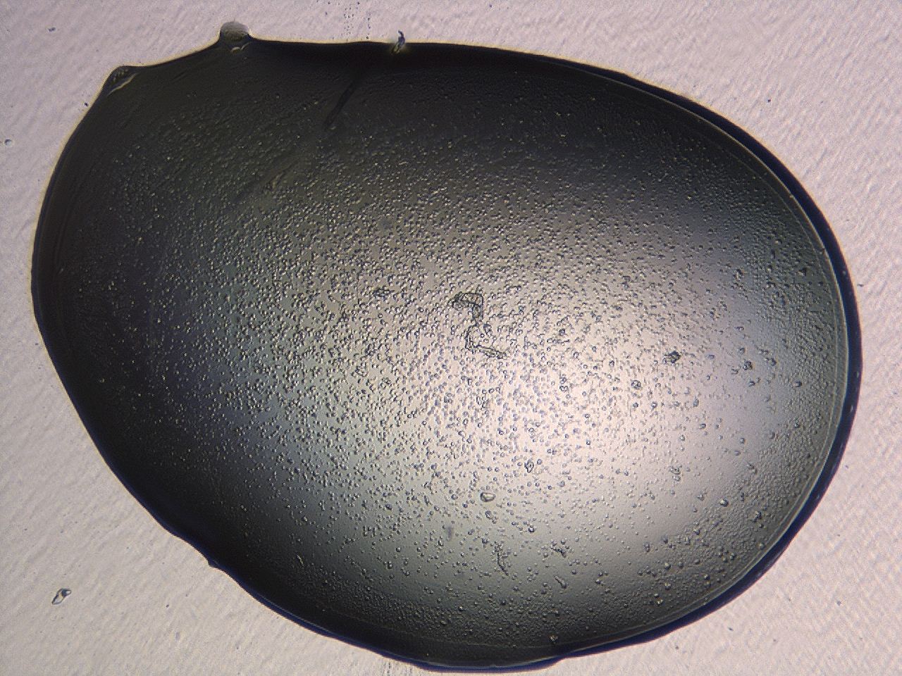 04p3_H2_ImagerDefaults_3.jpg
