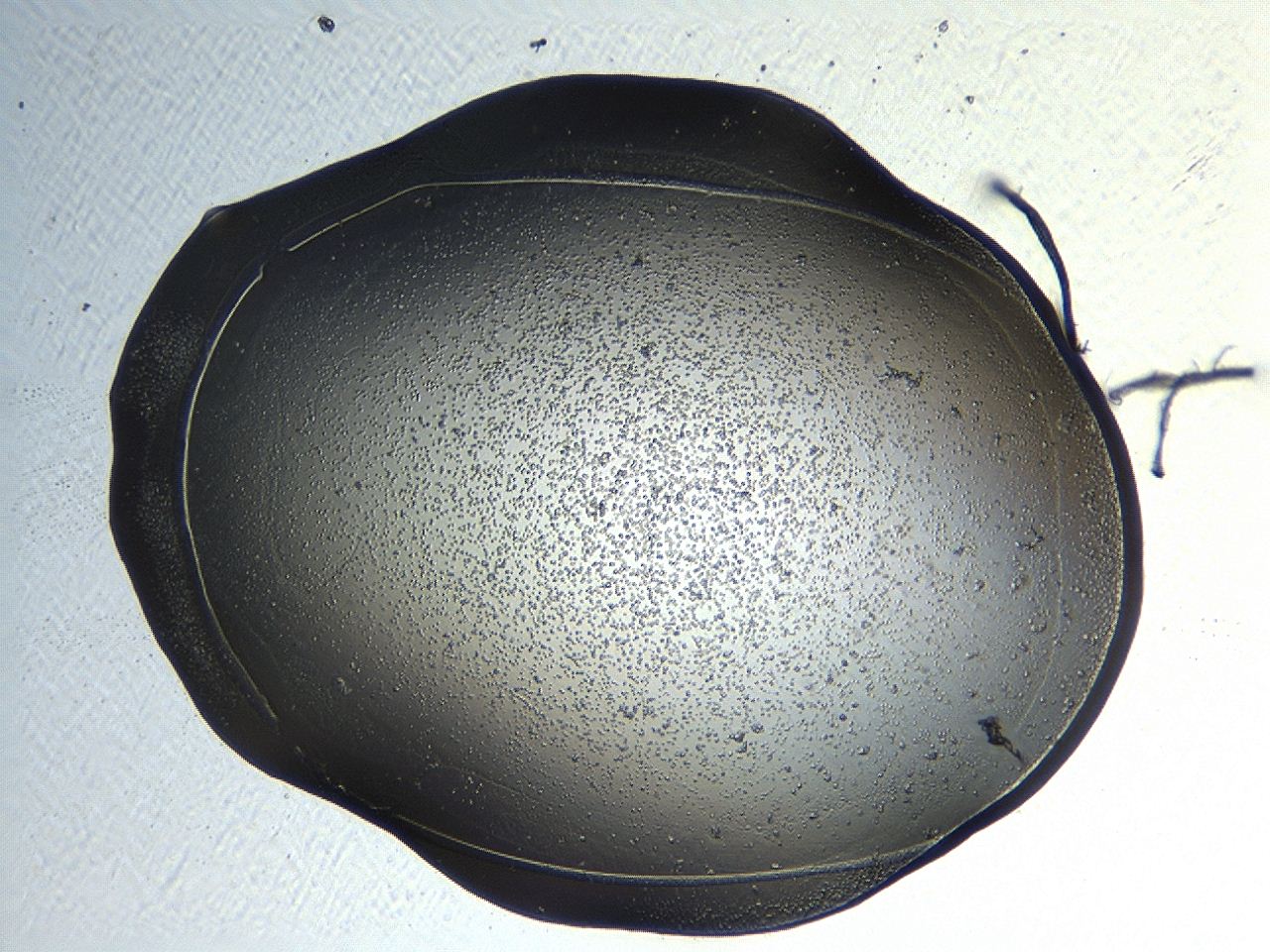 04p3_H5_ImagerDefaults_3.jpg