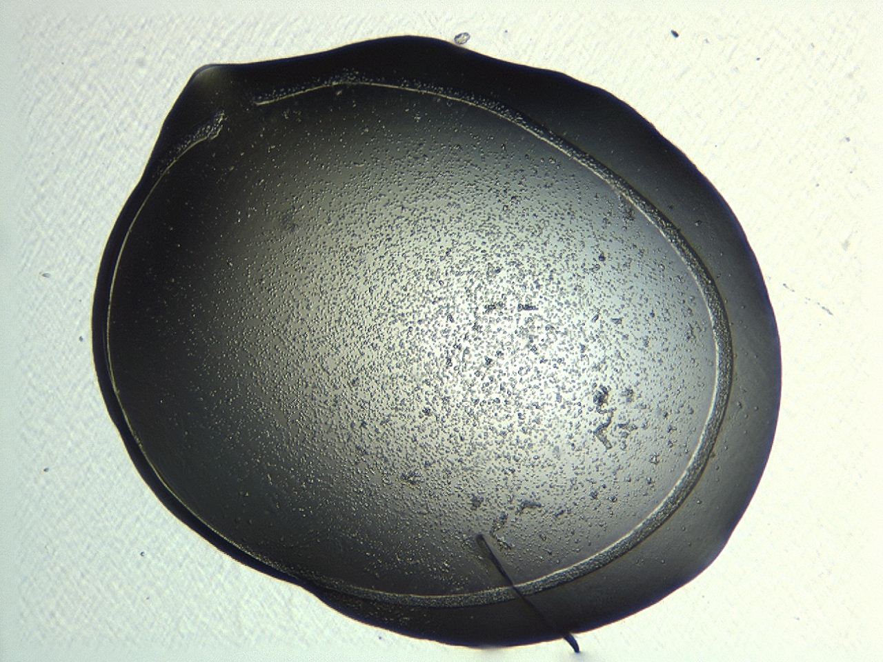 04p3_H11_ImagerDefaults_3.jpg