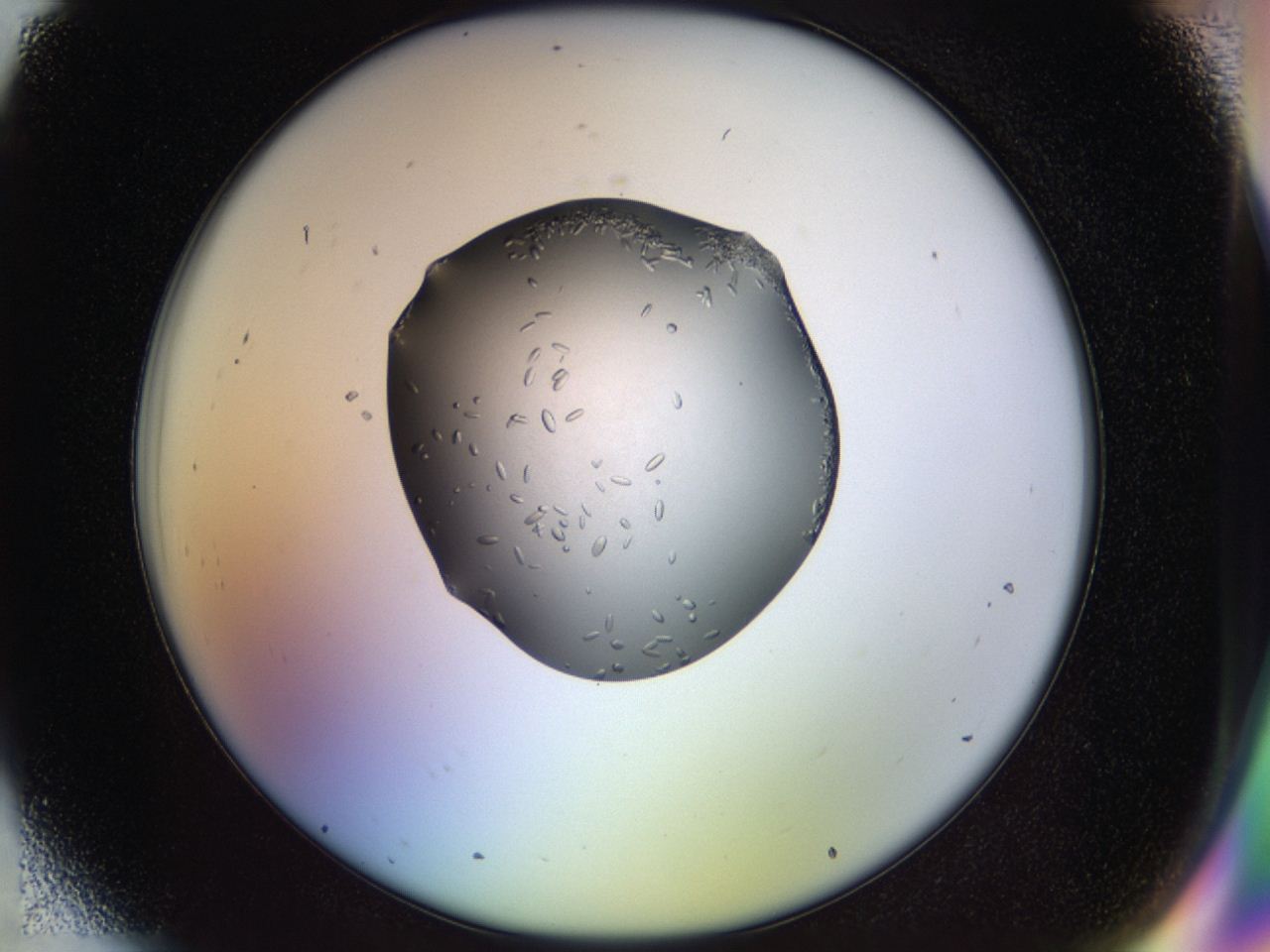 04p4_H7_ImagerDefaults_9.jpg