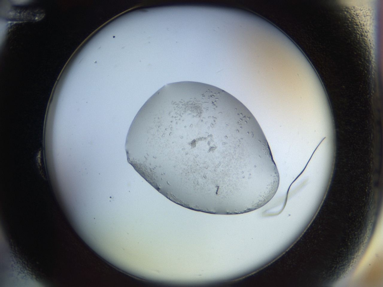 04p4_B12_ImagerDefaults_9.jpg