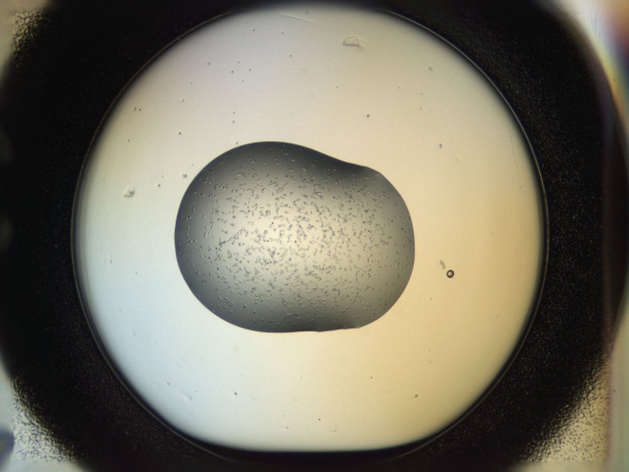04p5_C7_ImagerDefaults_6.jpg