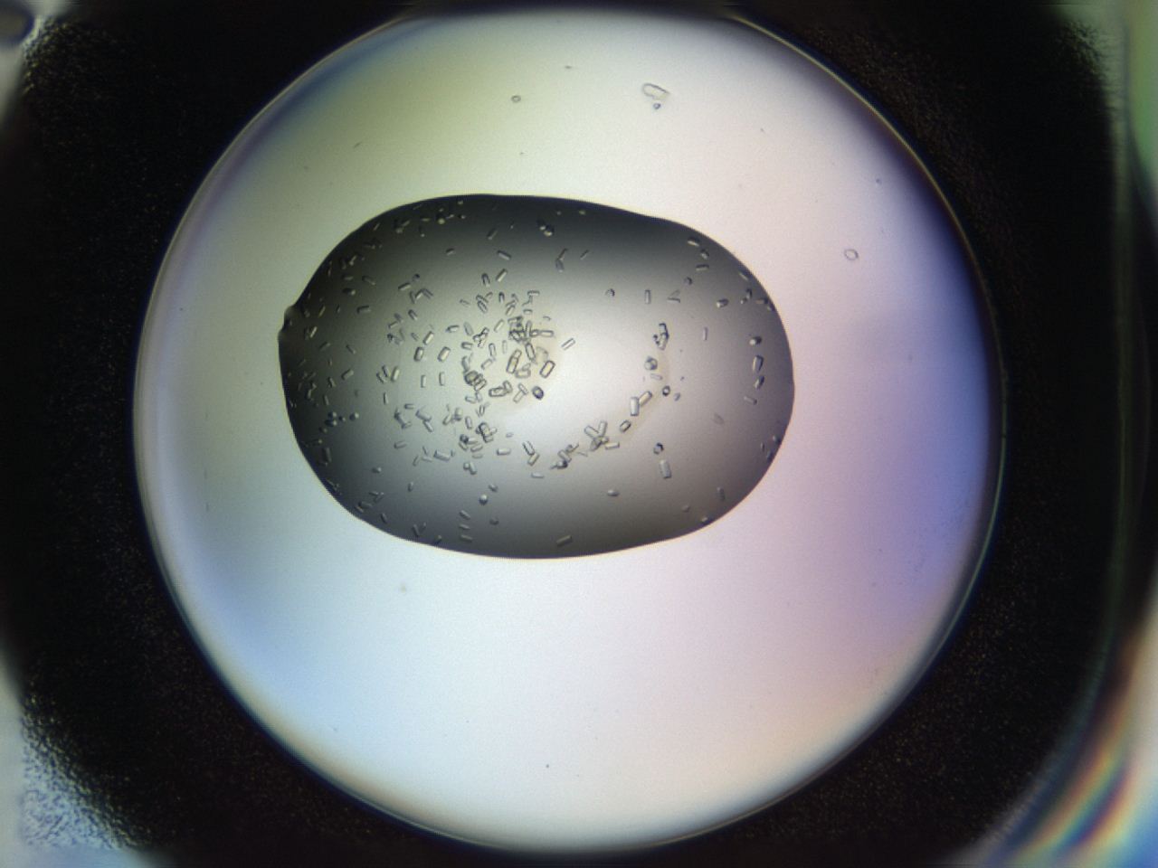 04p5_G2_ImagerDefaults_9.jpg