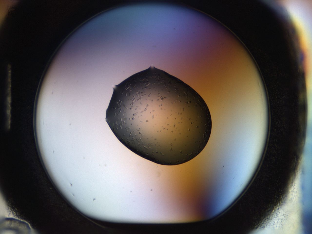 04p5_H12_ImagerDefaults_9.jpg