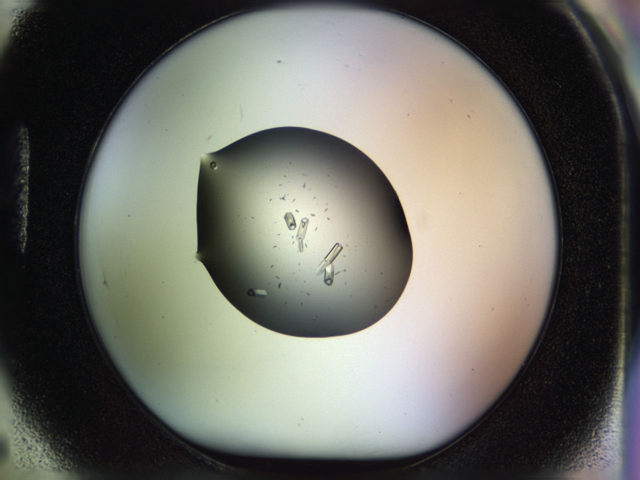04p5_H5_ImagerDefaults_9.jpg