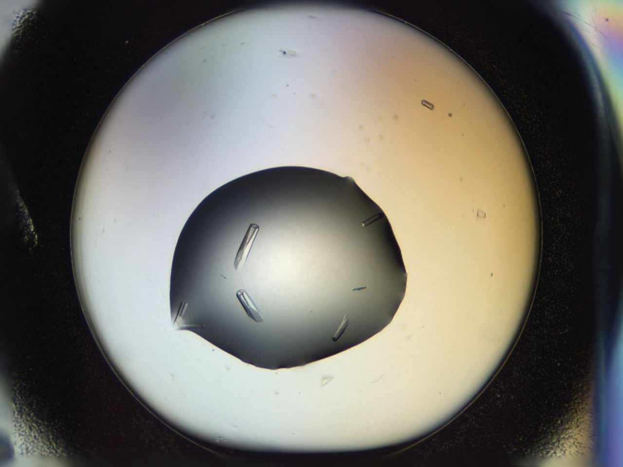 04p6_A6_ImagerDefaults_9.jpg