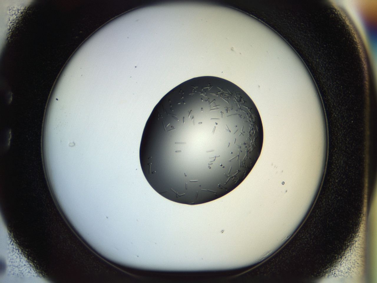 04p6_C5_ImagerDefaults_9.jpg