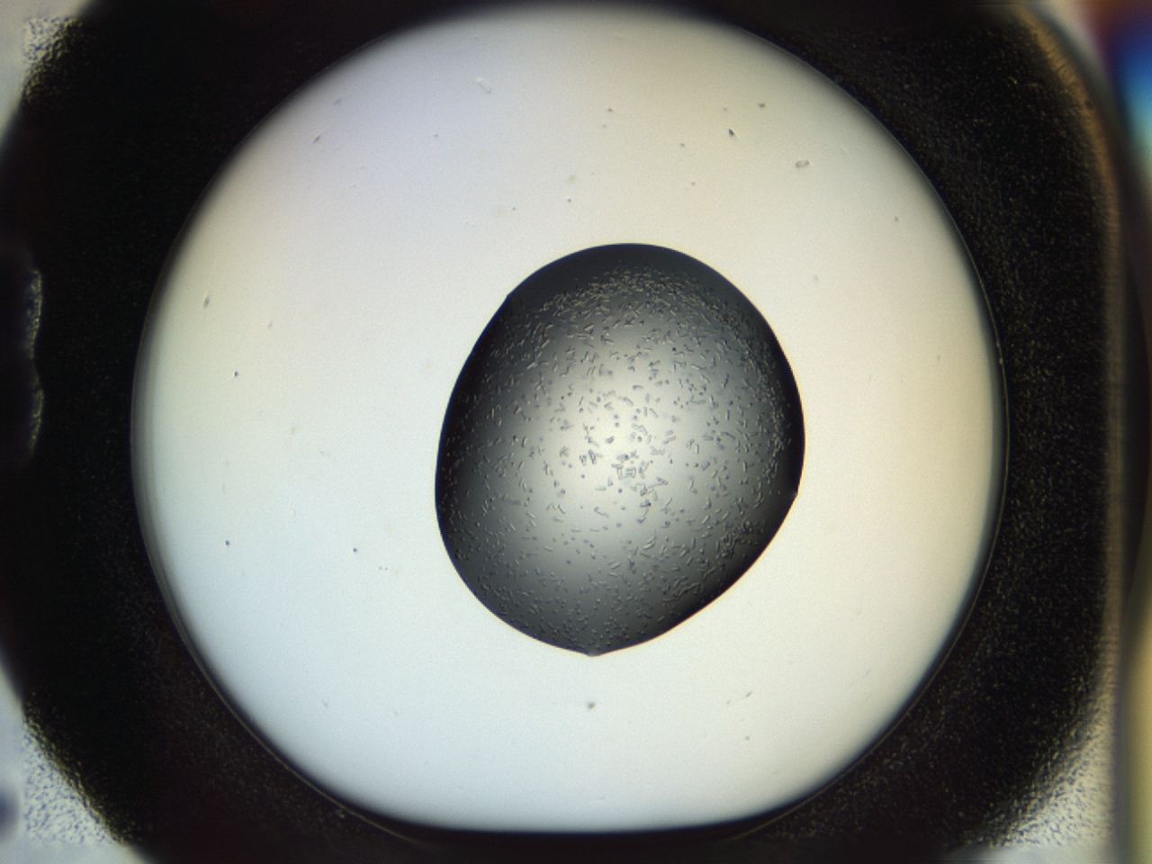 04p6_B5_ImagerDefaults_9.jpg