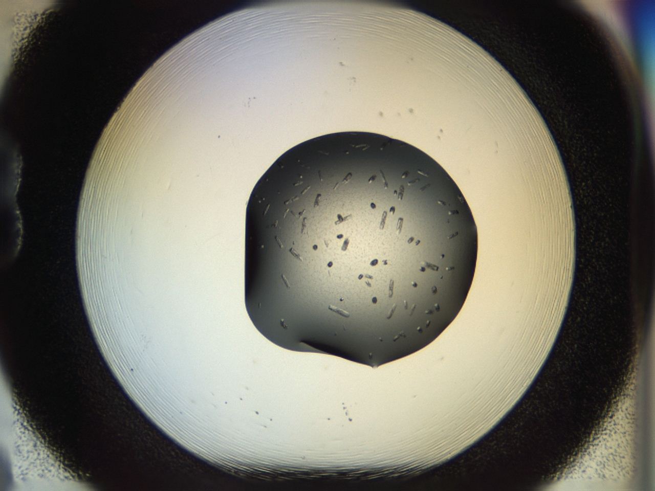04p6_B8_ImagerDefaults_9.jpg