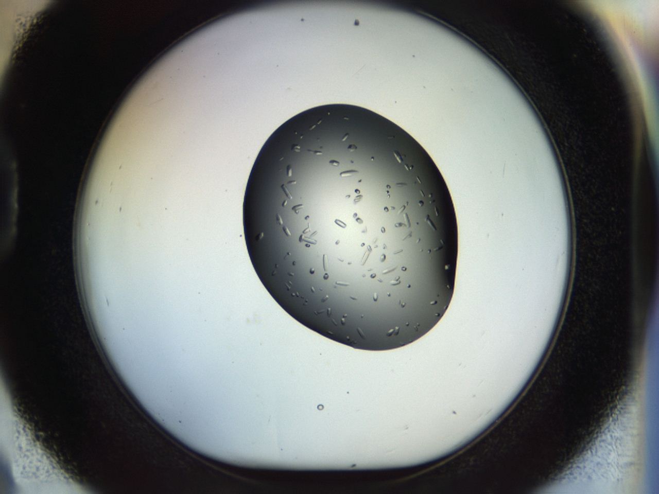 04p6_D9_ImagerDefaults_9.jpg