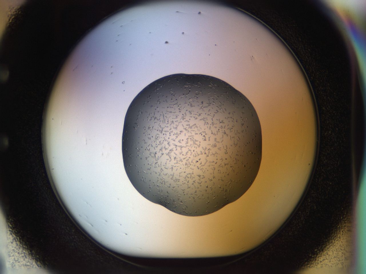 04p6_E8_ImagerDefaults_6.jpg