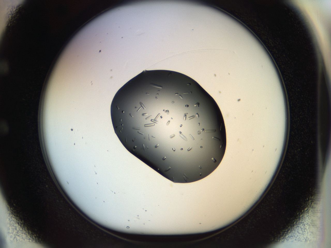 04p6_E9_ImagerDefaults_9.jpg