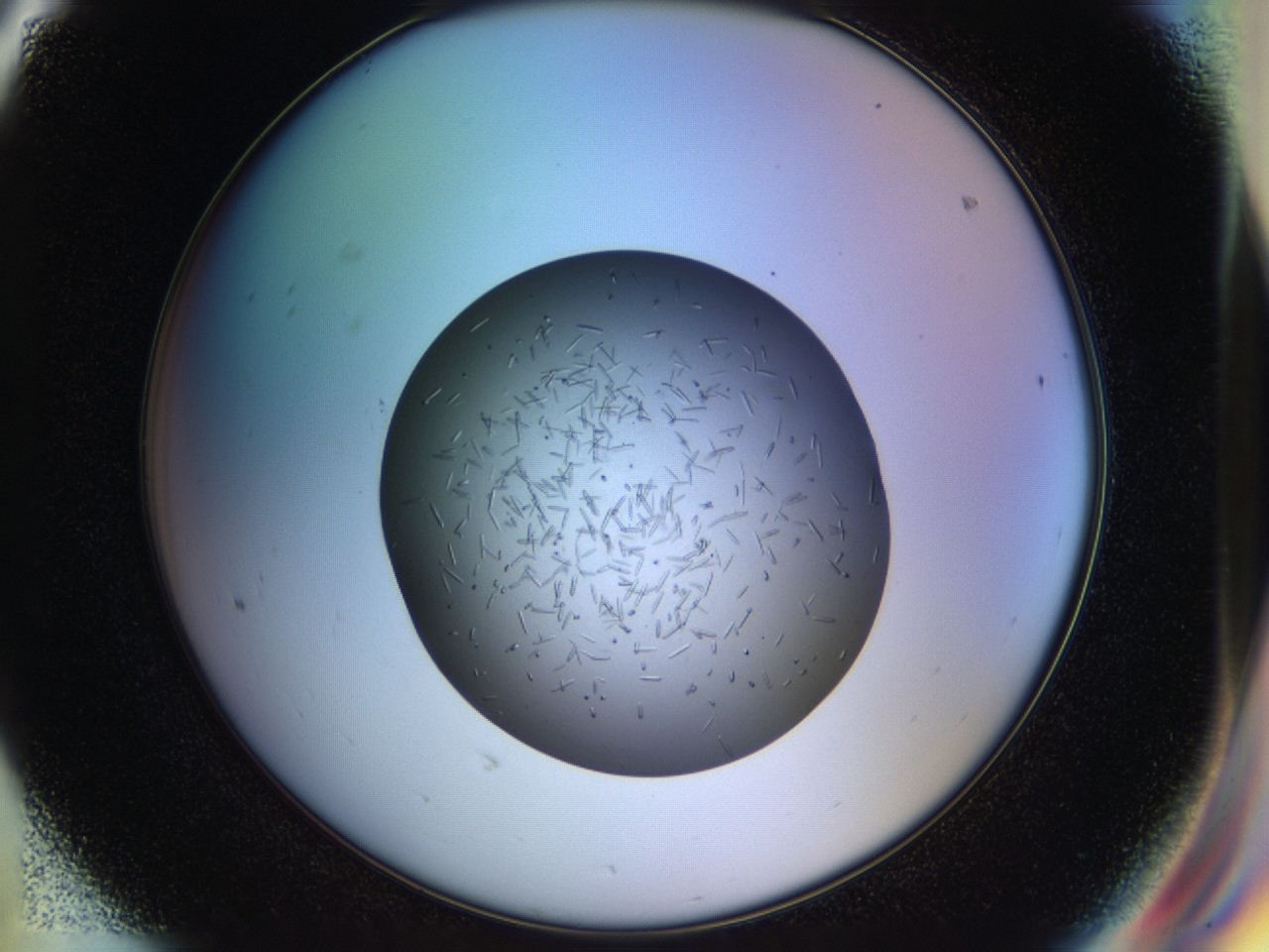 04p6_F8_ImagerDefaults_7.jpg