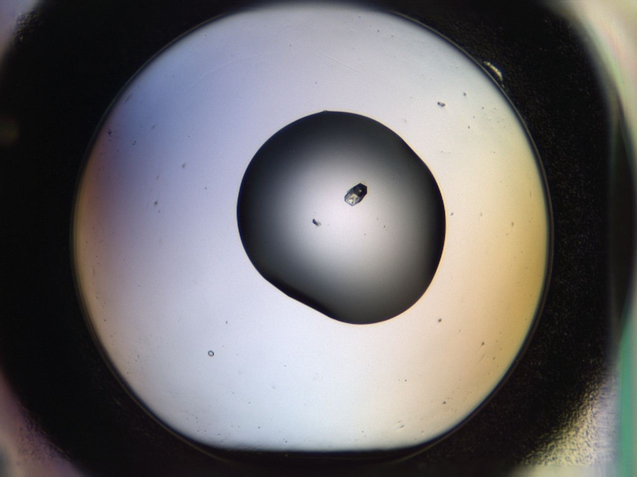 04p6_F9_ImagerDefaults_9.jpg