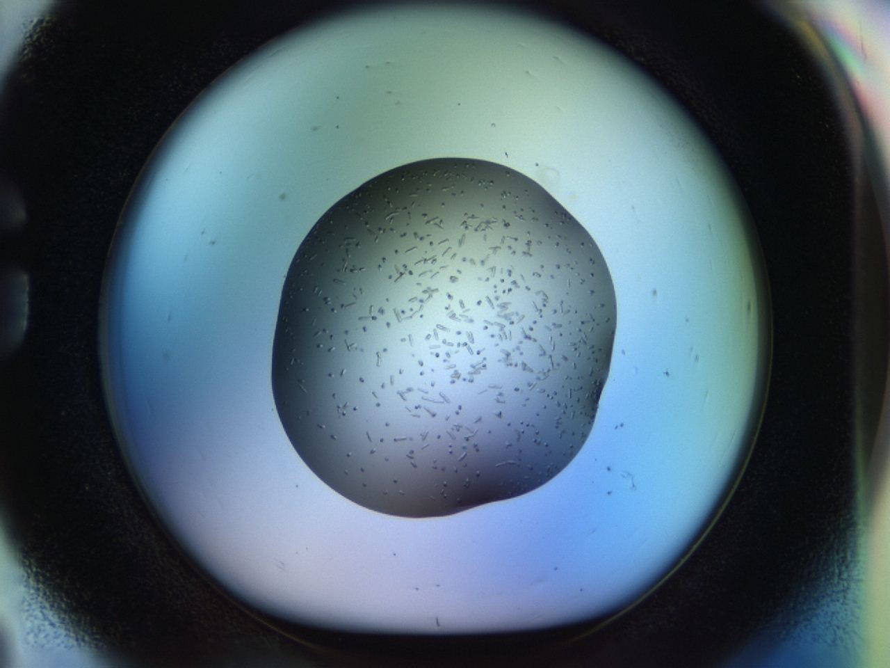 04p6_G8_ImagerDefaults_9.jpg