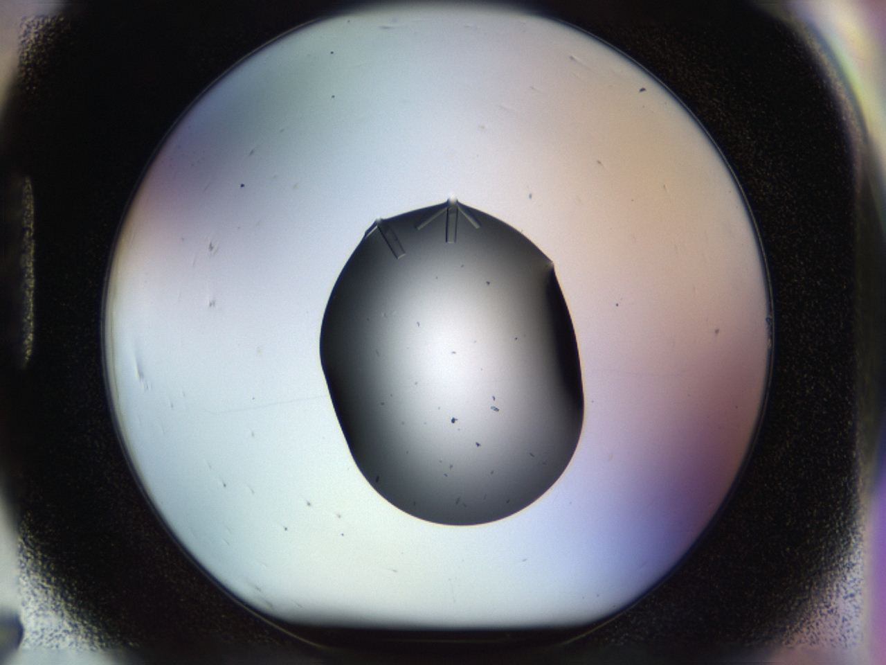04p6_H7_ImagerDefaults_9.jpg