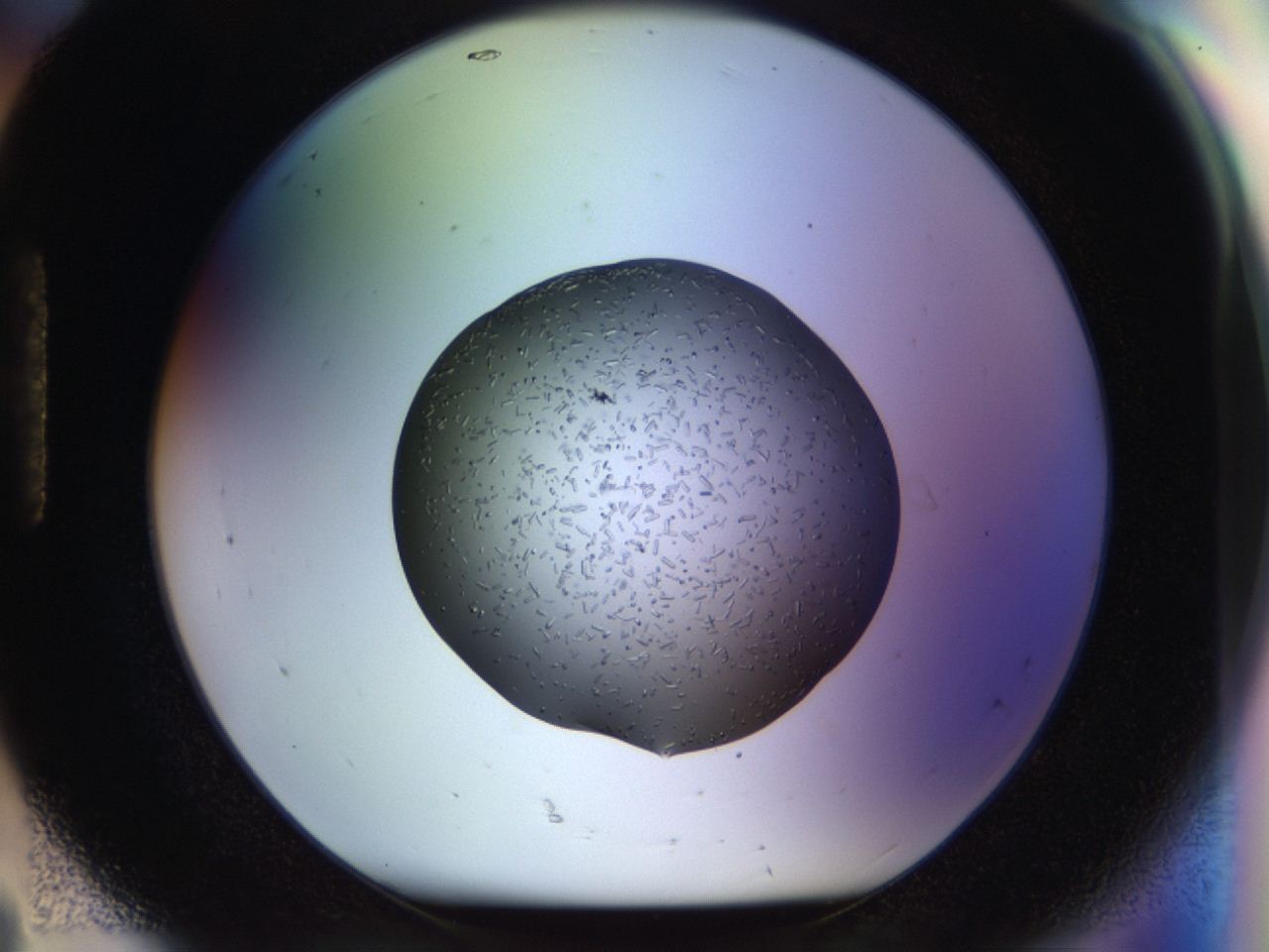 04p6_H8_ImagerDefaults_6.jpg