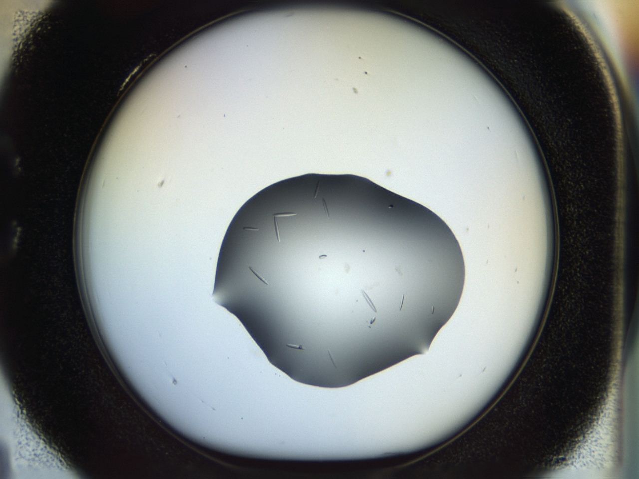 04p7_C4_ImagerDefaults_9.jpg