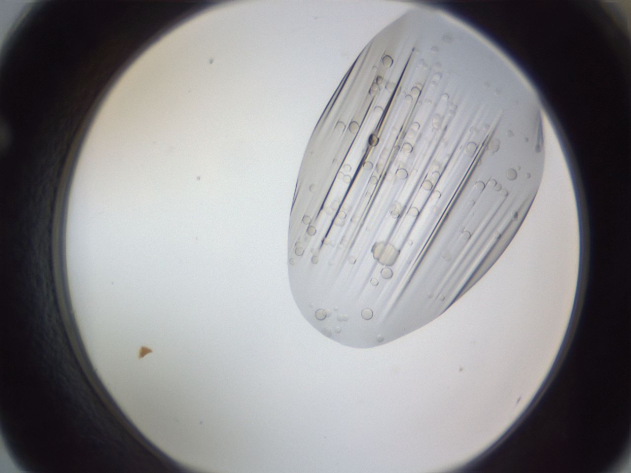 folderID164_plateID1164_batchID12303_wellNum62_profileID1_d1_r63897_ef.jpg