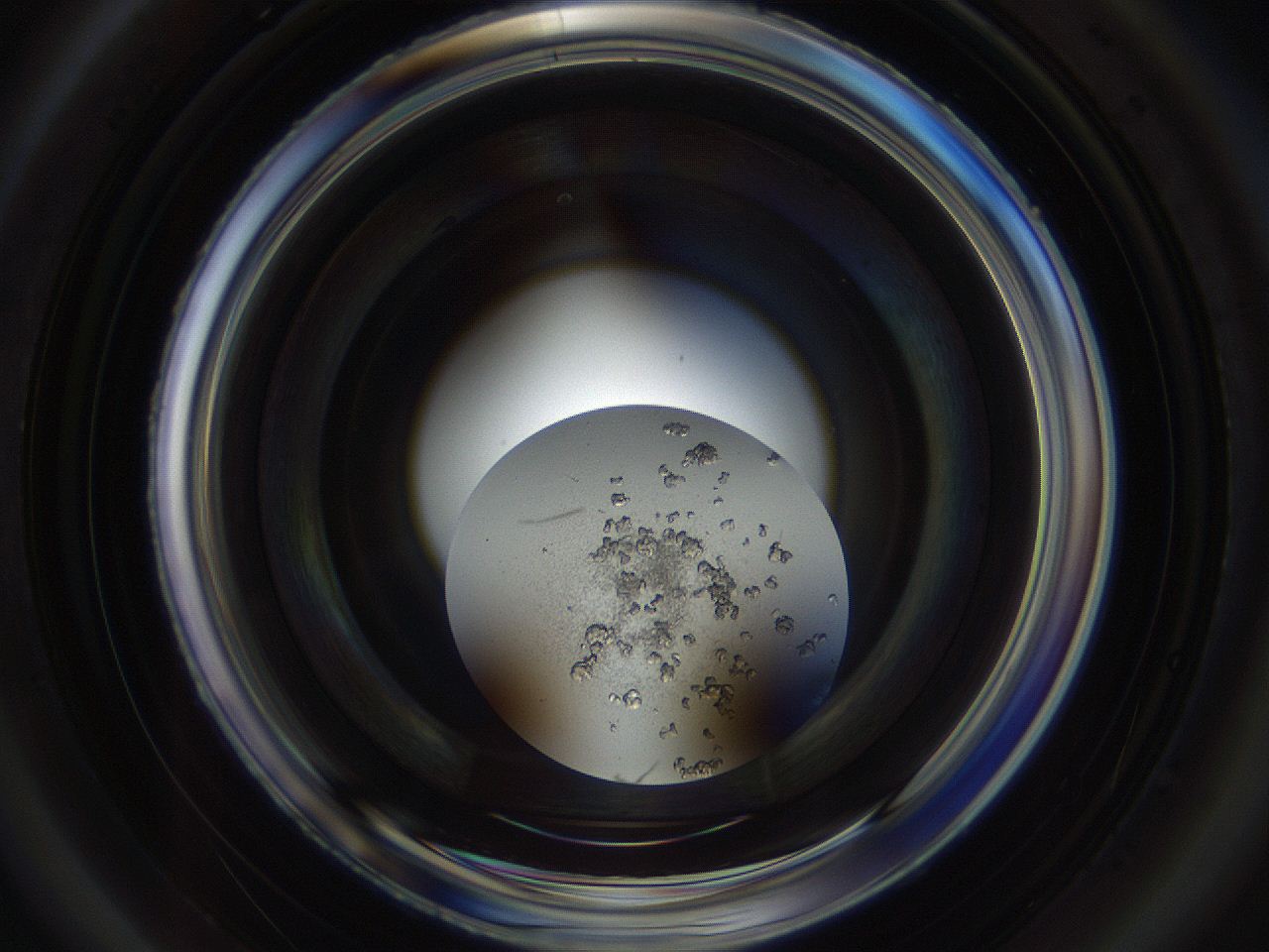 04pa_A5_ImagerDefaults_8.jpg