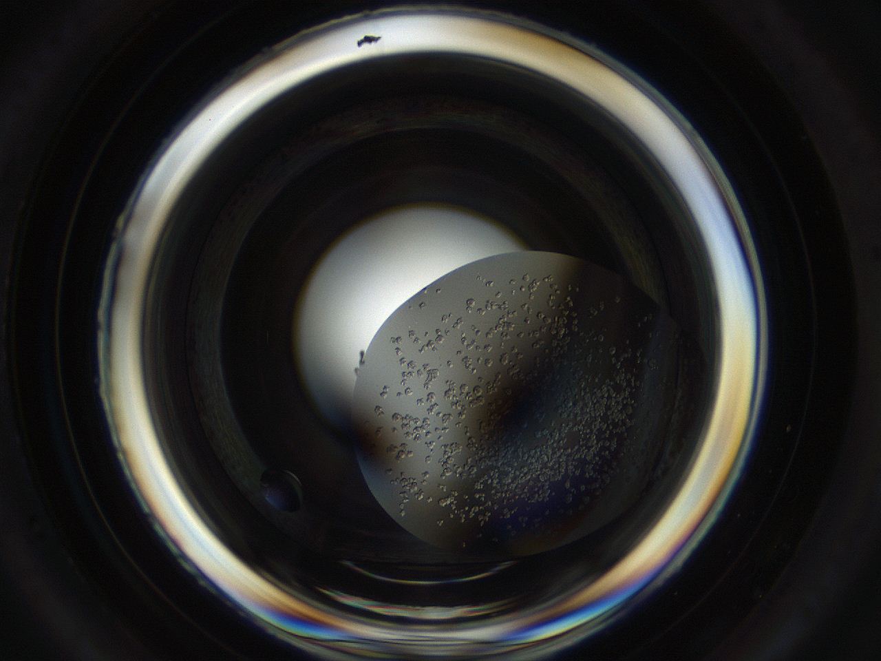 04pa_D5_ImagerDefaults_8.jpg