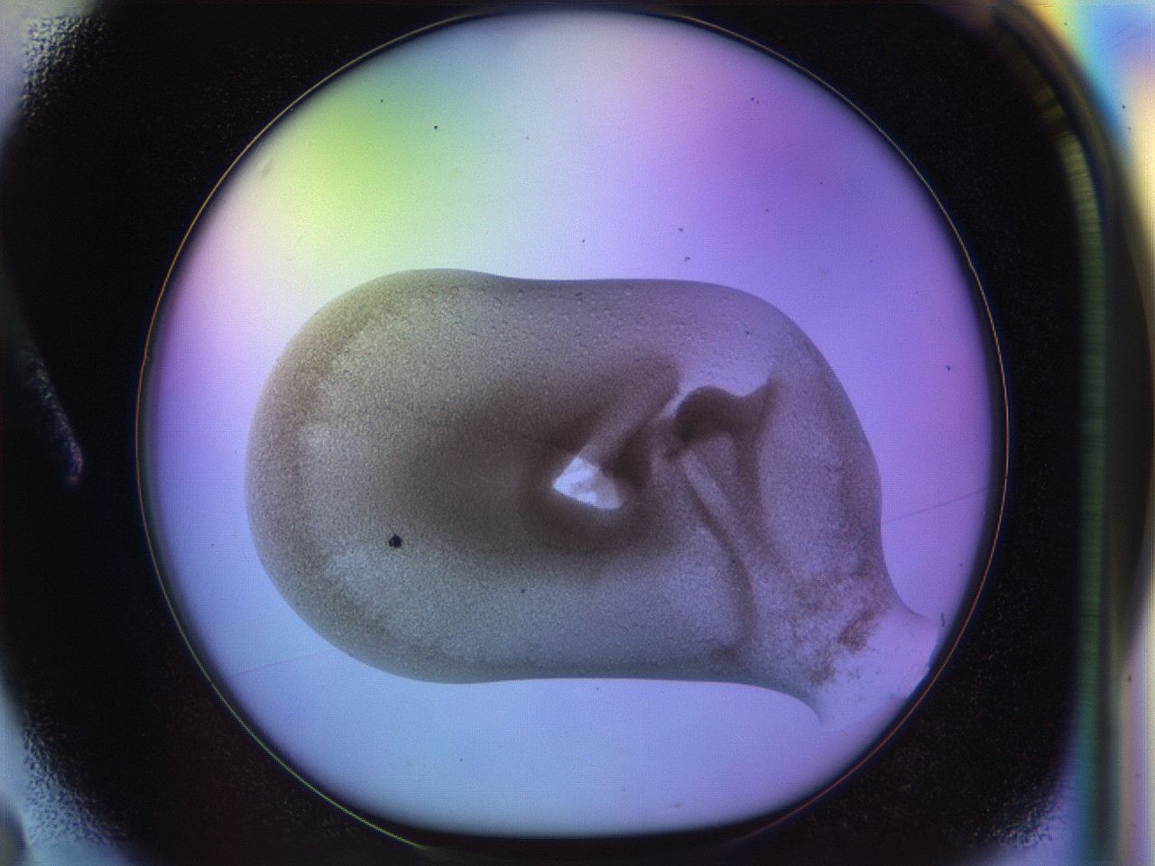 04pb_A3_ImagerDefaults_7.jpg