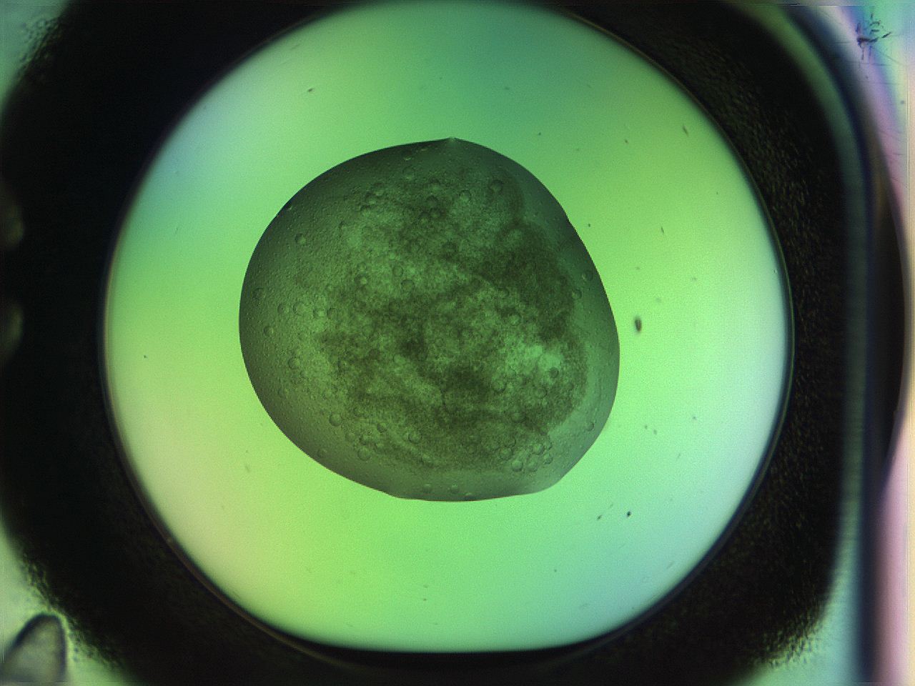 04pc_C11_ImagerDefaults_7.jpg