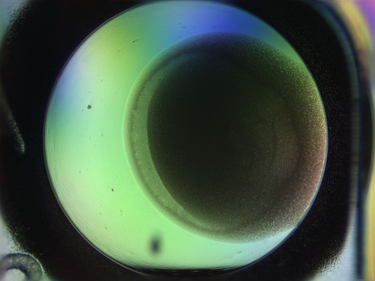 04pd_A12_ImagerDefaults_0.jpg