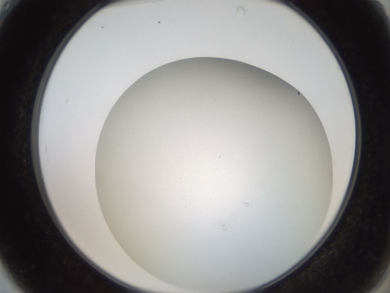 folderID193_plateID3193_batchID17820_wellNum4_profileID1_d2_r276810_ef.jpg