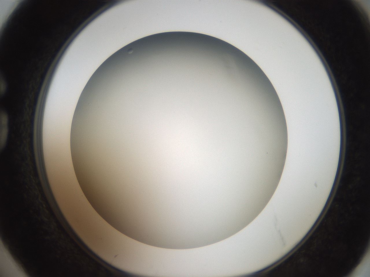 folderID193_plateID3193_batchID18021_wellNum74_profileID1_d1_r276949_ef.jpg