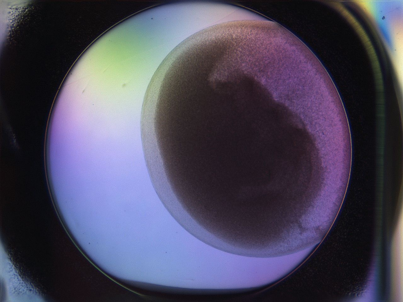 04pd_A4_ImagerDefaults_0.jpg