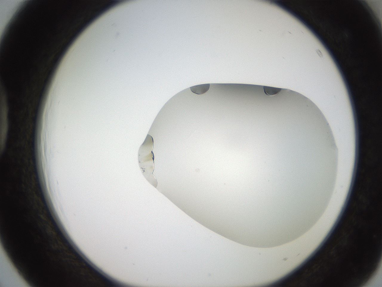 folderID206_plateID2206_batchID9795_wellNum39_profileID1_d1_r149827_ef.jpg
