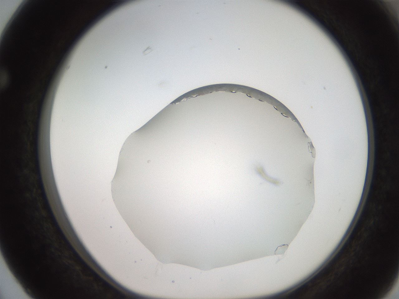folderID206_plateID2206_batchID9795_wellNum63_profileID1_d1_r149875_ef.jpg