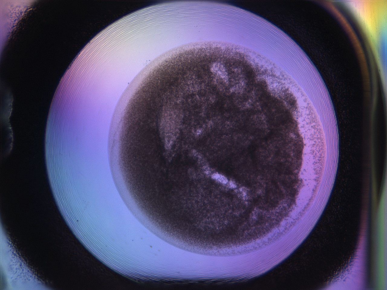 04pd_B8_ImagerDefaults_0.jpg