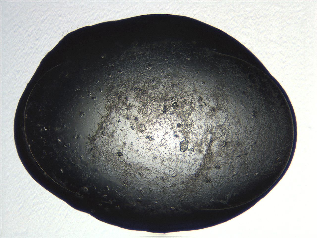 04pf_B12_ImagerDefaults_9.jpg