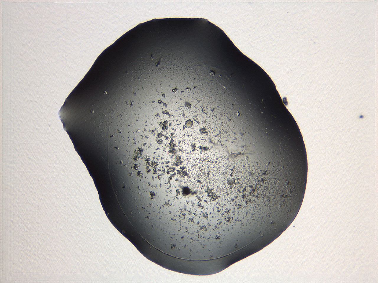 04pf_A4_ImagerDefaults_8.jpg