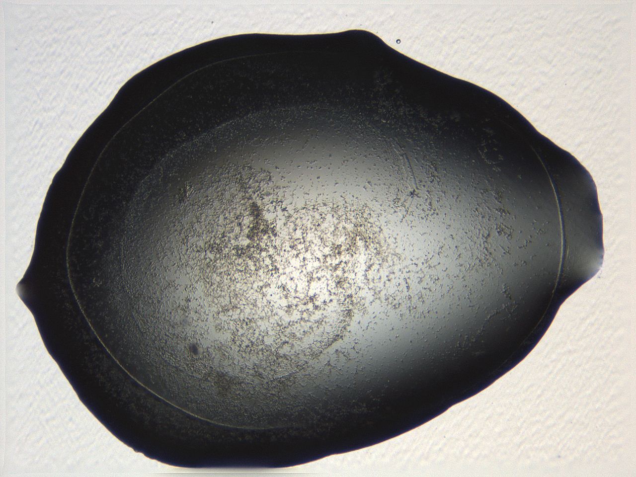04pf_A10_ImagerDefaults_3.jpg