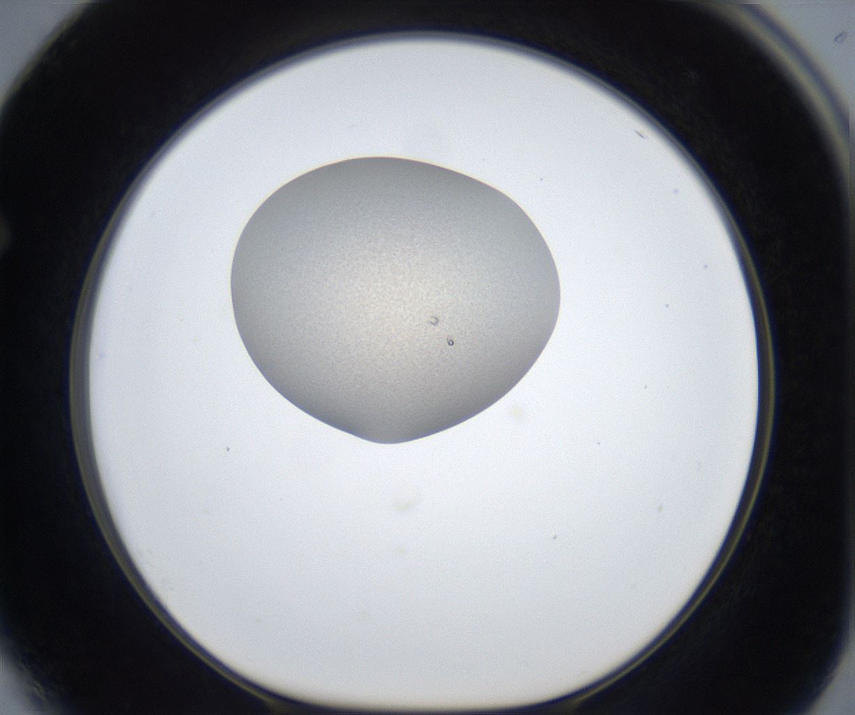 folderID260_plateID3260_batchID19865_wellNum64_profileID1_d1_r286696_ef.jpg