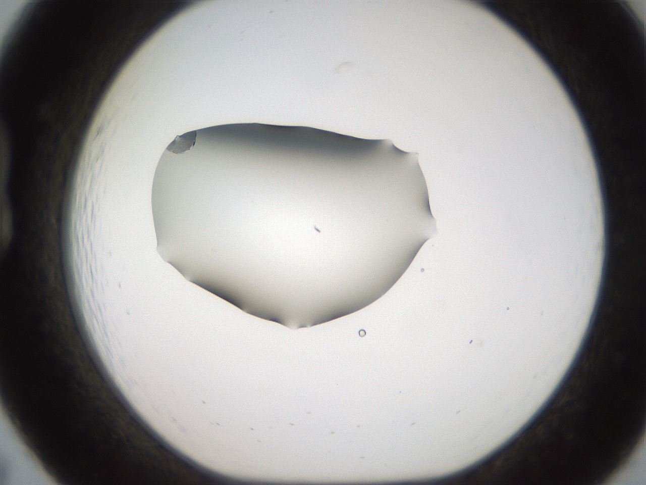 folderID269_plateID2269_batchID10359_wellNum19_profileID1_d1_r158362_ef.jpg
