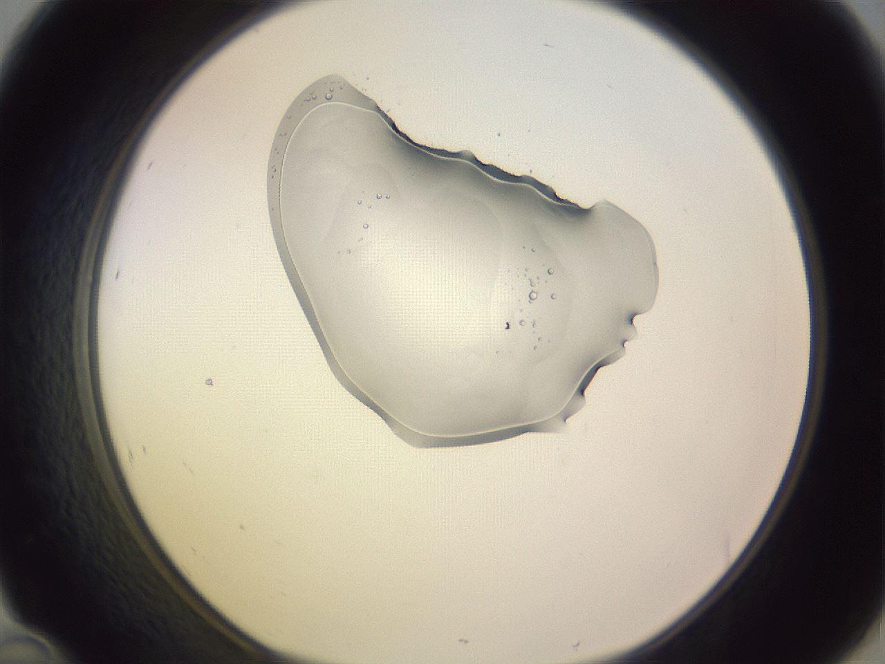 folderID276_plateID1276_batchID4742_wellNum46_profileID1_d1_r73042_ef.jpg