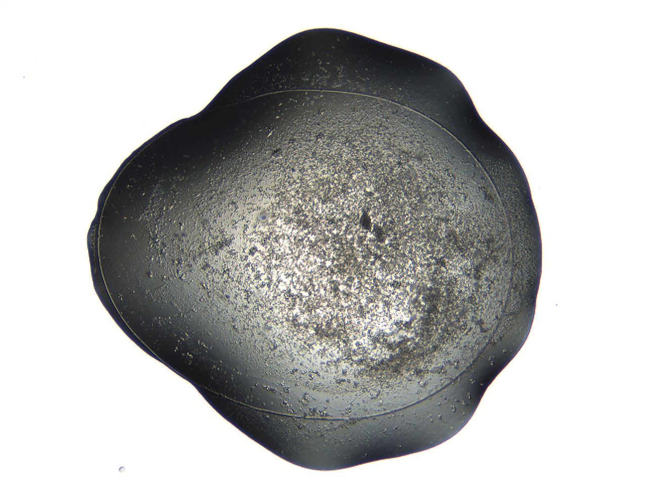 04pf_C6_ImagerDefaults_9.jpg