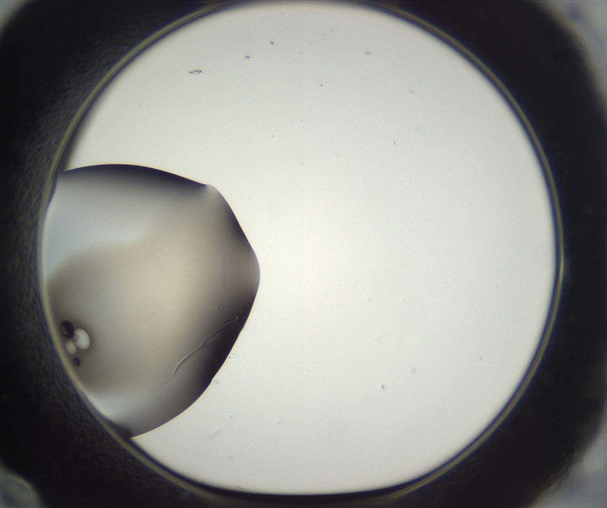 folderID293_plateID3293_batchID19080_wellNum60_profileID1_d1_r290415_ef.jpg