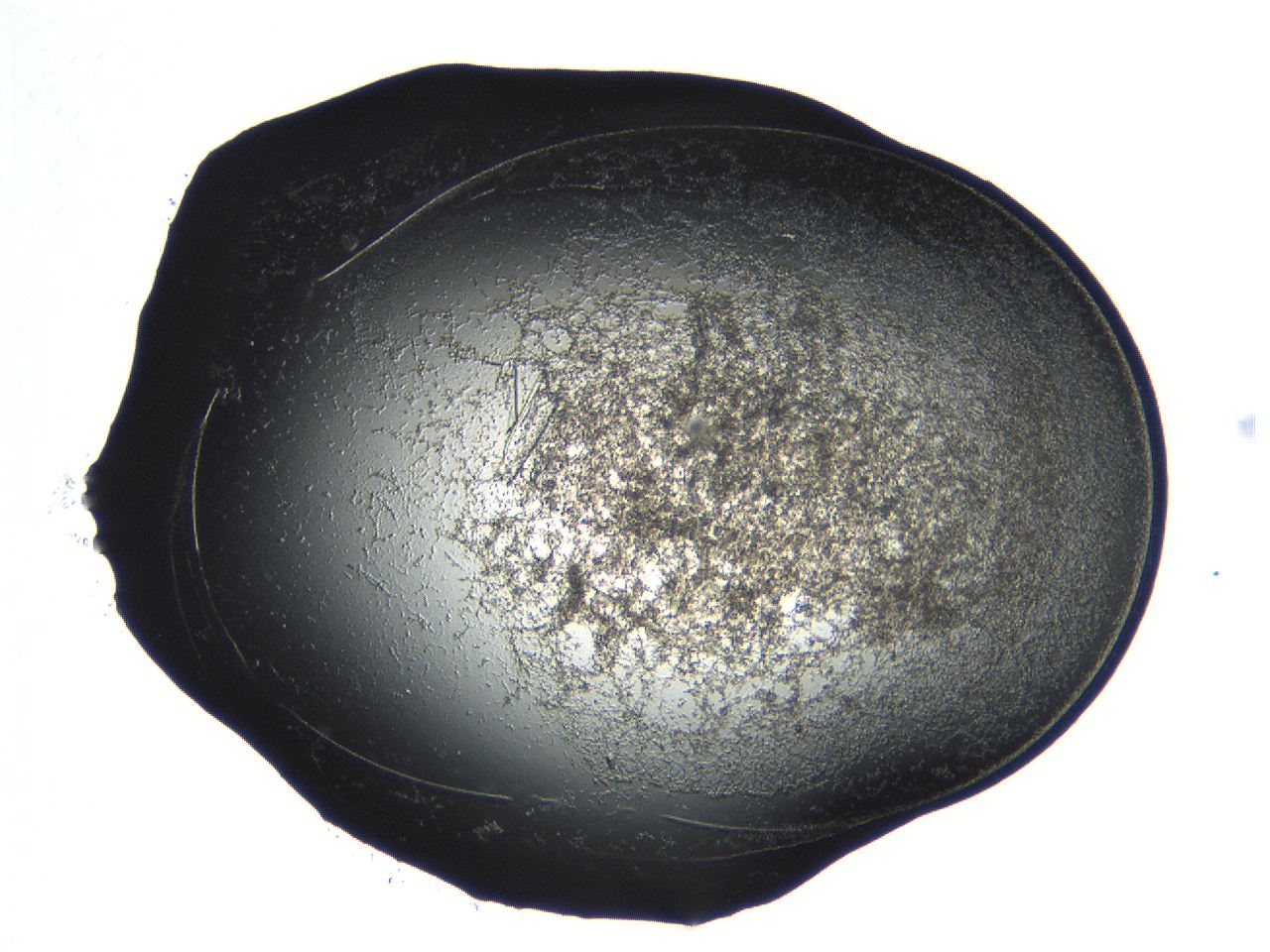 04pf_C11_ImagerDefaults_3.jpg